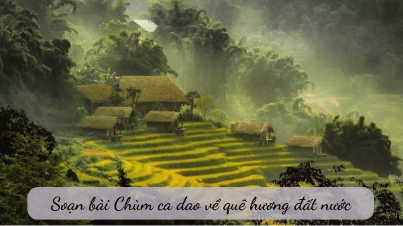 Hình ảnh cánh đồng lúa chín vàng bên dòng sông quê hương