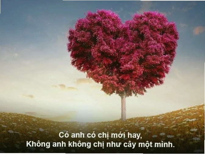 Hình ảnh gia đình sum vầy hạnh phúc