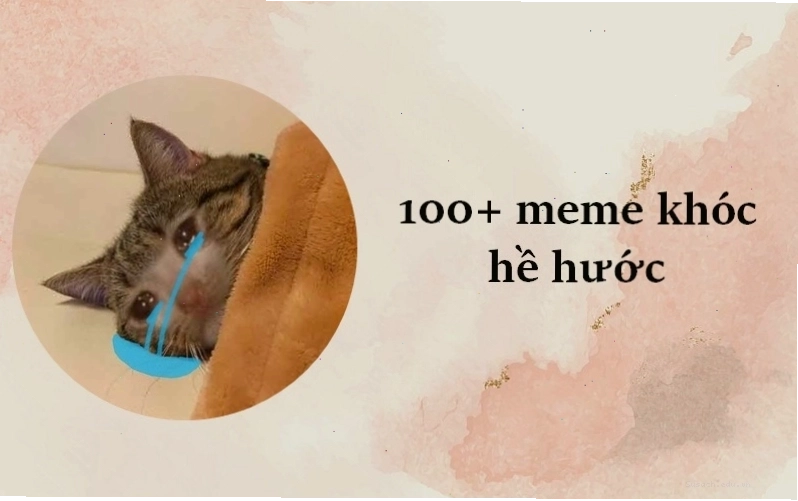 Hình ảnh meme biểu cảm khóc hề minh họa cho nội dung