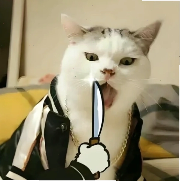 Hình ảnh mèo cầm dao meme thể hiện sự bá đạo