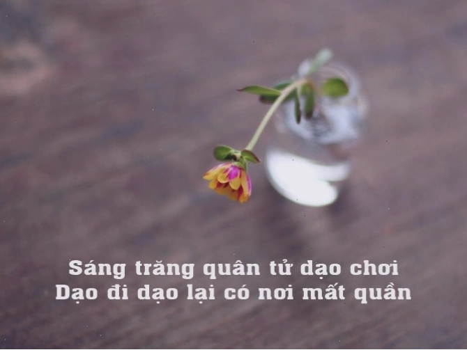 Hình ảnh minh họa kẻ sống hai mặt