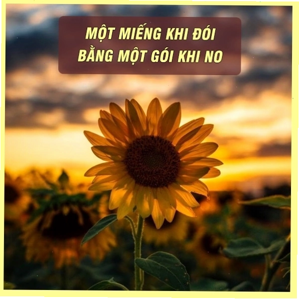 Hình ảnh minh họa ý nghĩa của câu