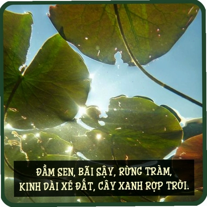 Hình ảnh người dân Việt Nam lao động sản xuất trên đồng ruộng
