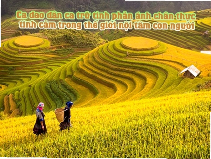Hình ảnh người nông dân đang lao động trên cánh đồng