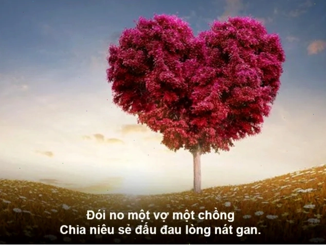 Hình ảnh "nhiễu điều phủ lấy giá gương" thể hiện sự che chở, bảo vệ lẫn nhau