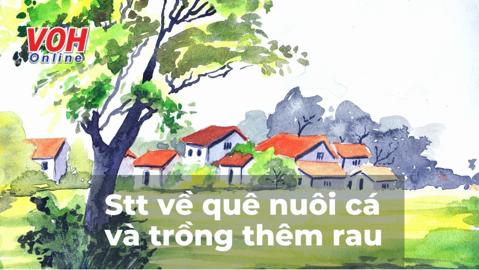 Hình ảnh quê hương bình yên