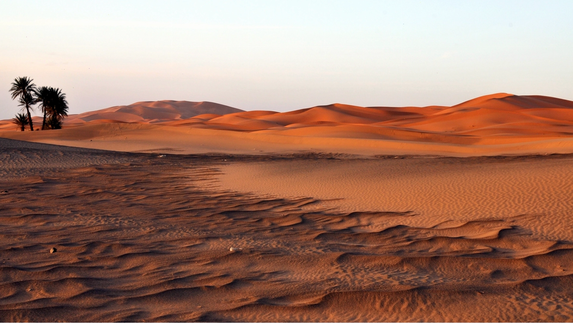 Hình ảnh sa mạc Sahara