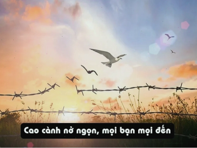 hình ảnh tượng trưng cho sự bao dung và lòng nhân ái