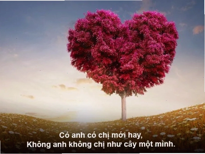 Hình ảnh tượng trưng cho tình cảm gia đình ấm áp, thiêng liêng
