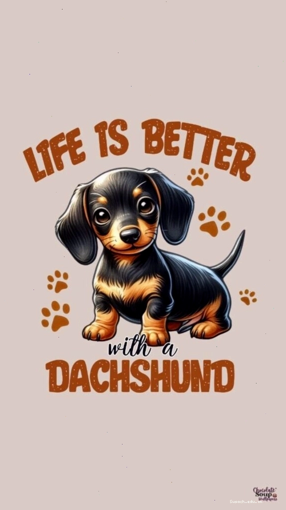 Hình nền cô gái dễ thương với chú cún