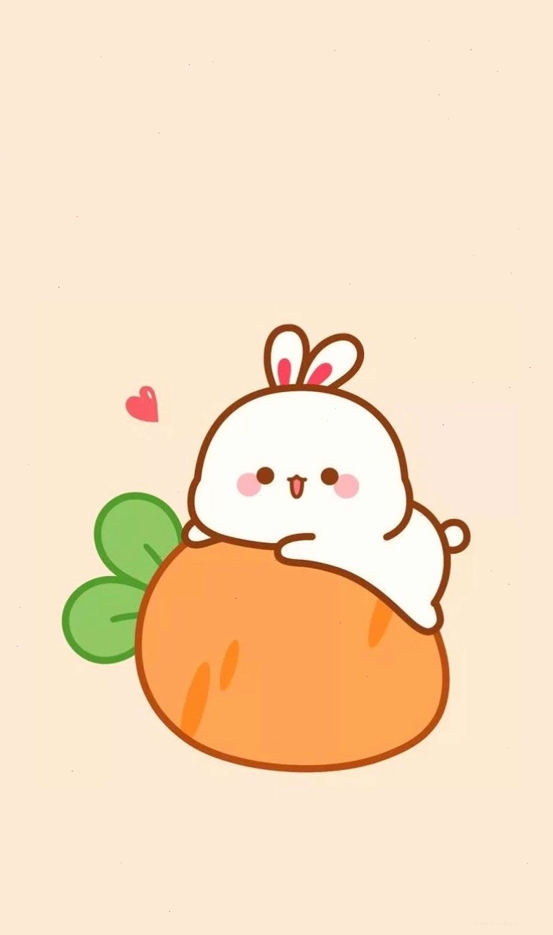 Hình nền cute của gấu con