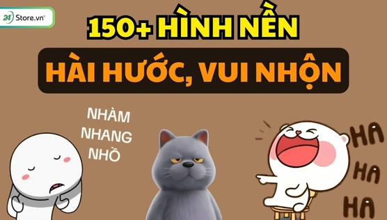 Hình Nền Điện Thoại Meme: Kho Ảnh Vô Tri, Hài Hước Nhất 2026
