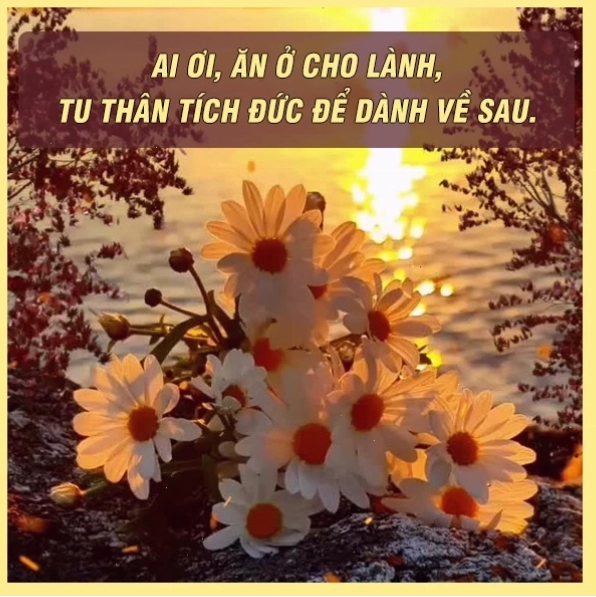 Học sinh tham gia hoạt động tình nguyện