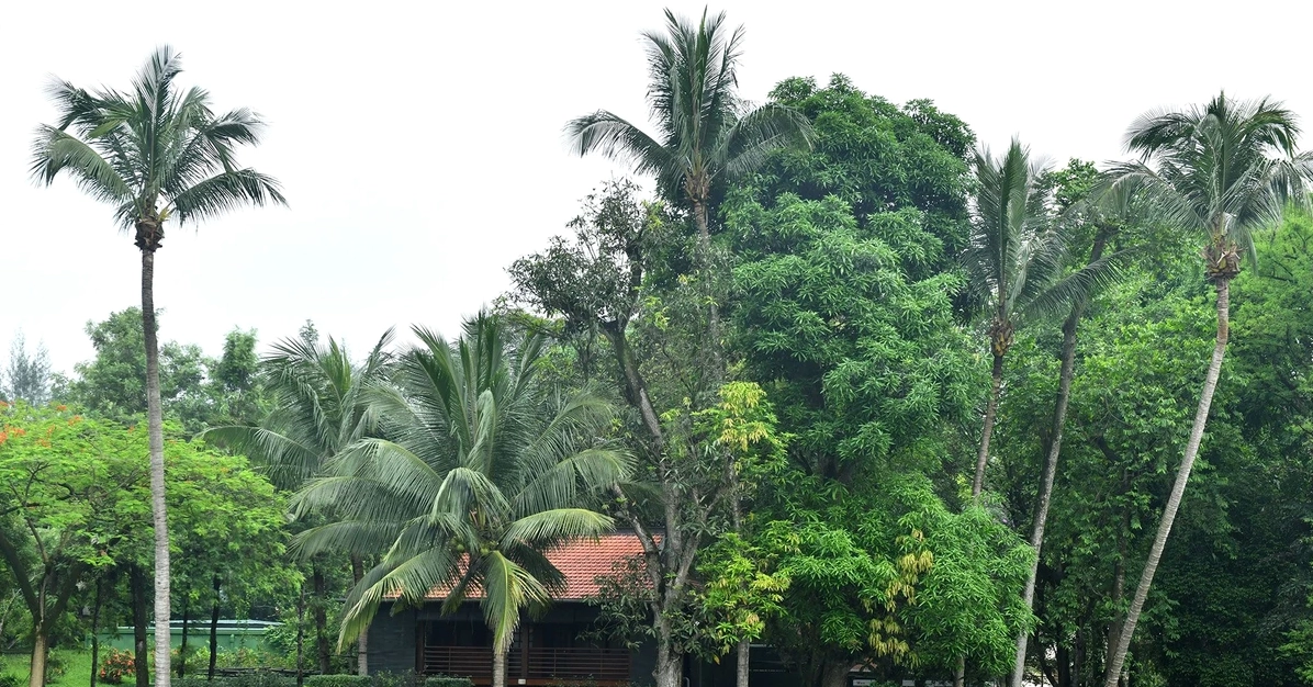 Khu di tích Chủ tịch Hồ Chí Minh: Dấu ấn lịch sử và văn hóa