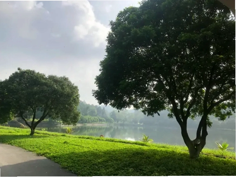Khung cảnh bình yên bên trong K9 Đá Chông
