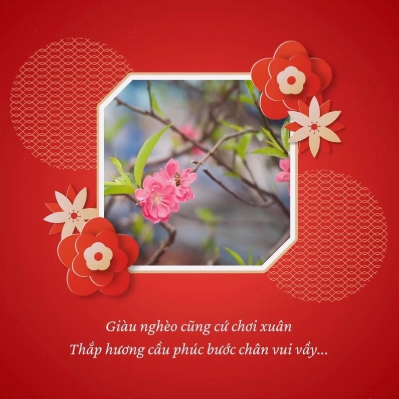 Lễ hội gói bánh chưng truyền thống
