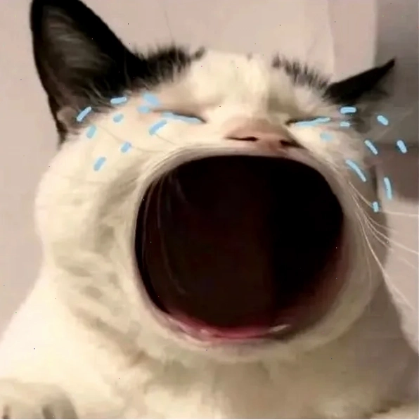 Loạt meme há miệng khiến cộng đồng cười không ngừng nghỉ