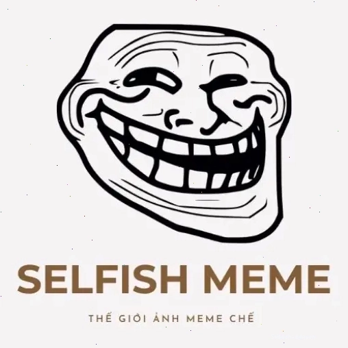 Logo The Selfish Meme