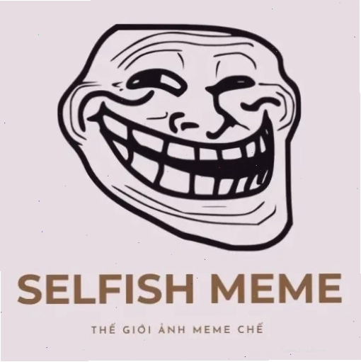 Logo The Selfish Meme