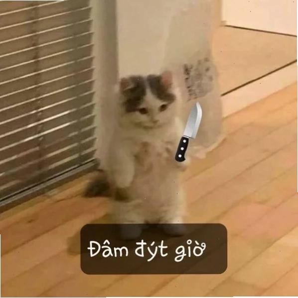 Me me mèo cầm dao thể hiện biểu cảm