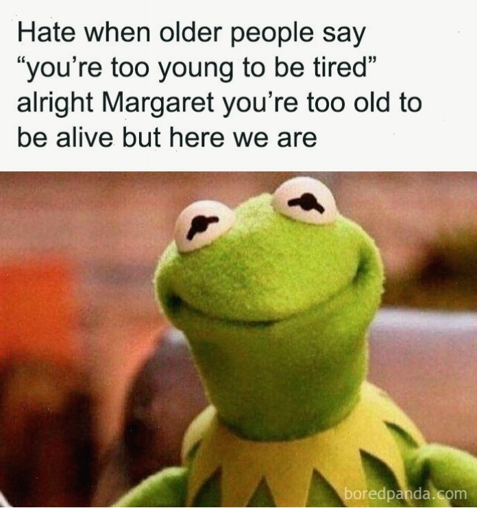 Meme châm biếm về thói quen lướt điện thoại.