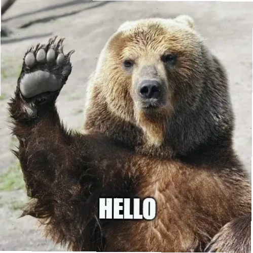 Meme chào hỏi vui nhộn với hình ảnh động vật biểu cảm