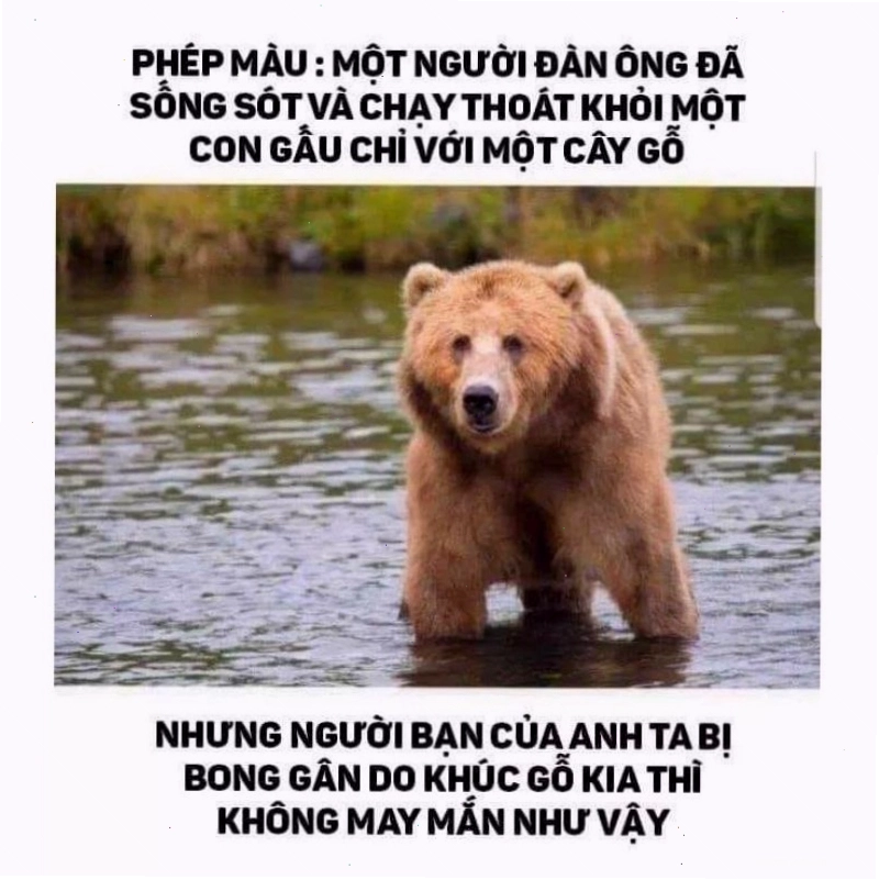 Meme chế cực dark, thách thức mọi giới hạn liên tưởng