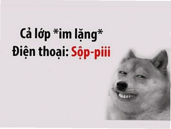 Meme Cheems với phong cách viết tiếng Anh sai ngữ pháp độc đáo