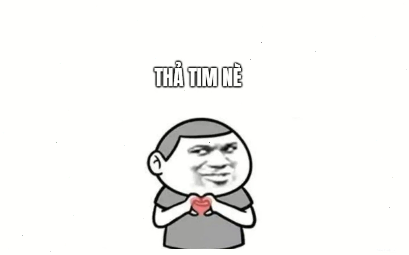 Meme chó mèo chụp ảnh với trang phục kỳ lạ