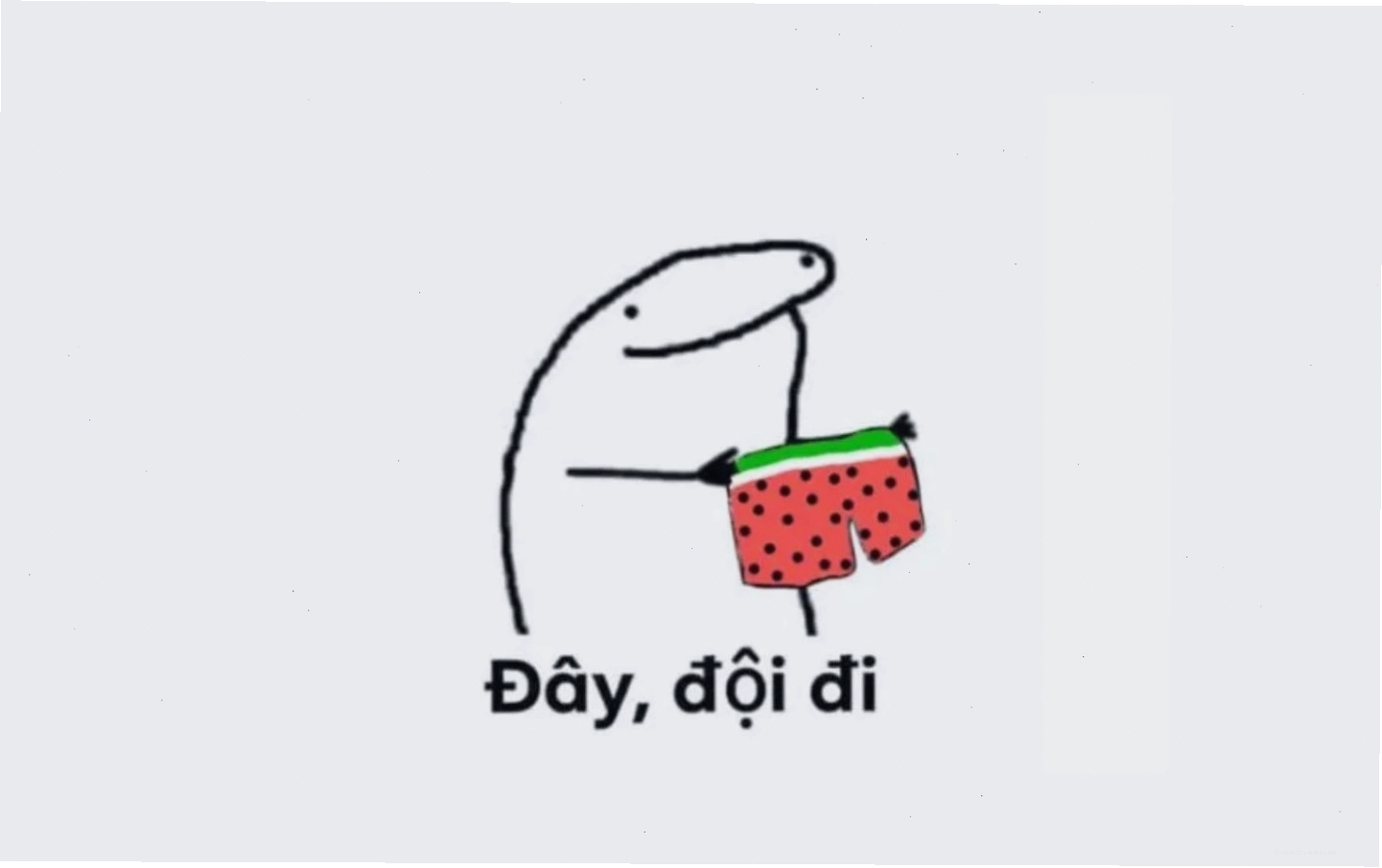 Meme chó mèo mặt tỉnh bơ nhìn thẳng vào máy ảnh