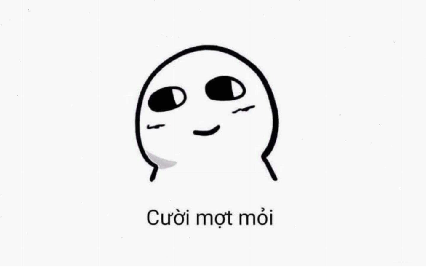 Meme chú chó đang ngủ say sưa