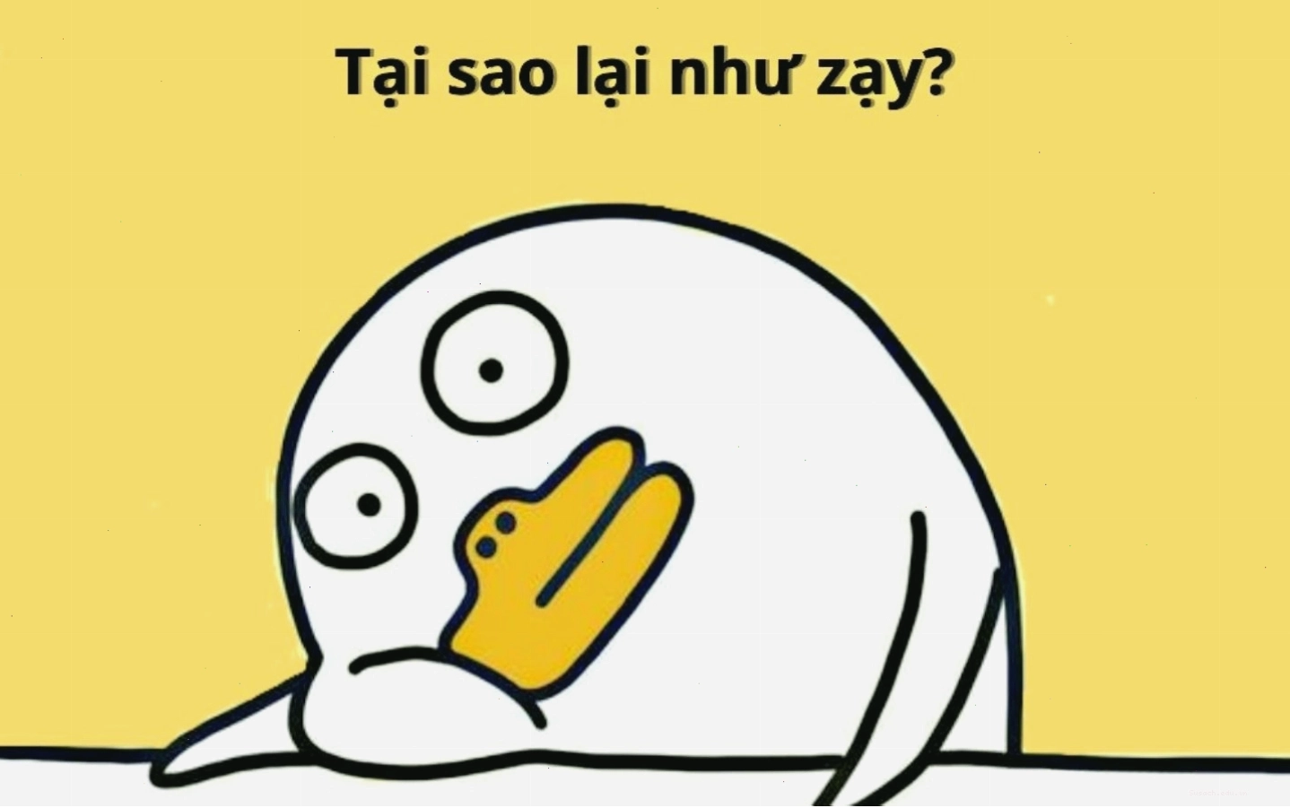 Meme chú chó với đôi tai vểnh lên