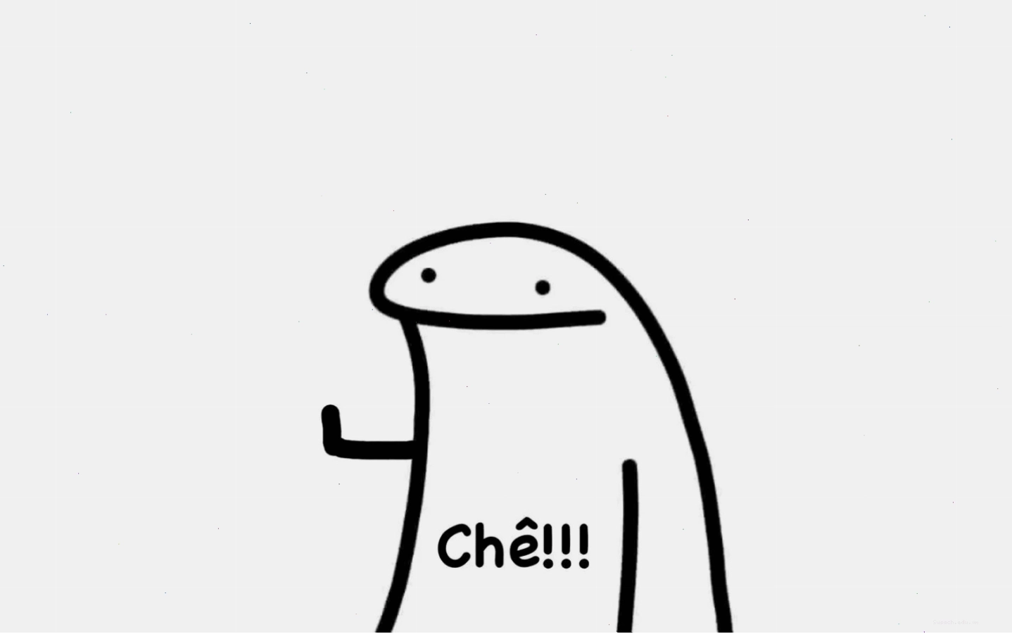 Meme chú mèo ngồi trên máy tính