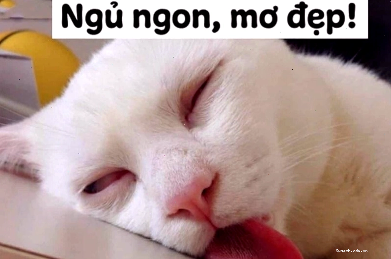 Meme chúc ngủ ngon là gì, minh họa ý nghĩa của các biểu cảm