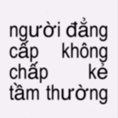 Meme chửi mang tính giải trí cao, phù hợp chia sẻ trên mạng xã hội