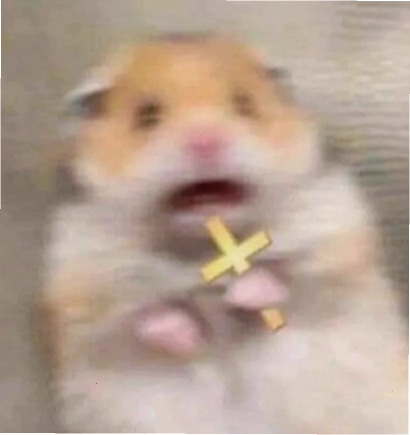 Meme chuột hamster dễ thương