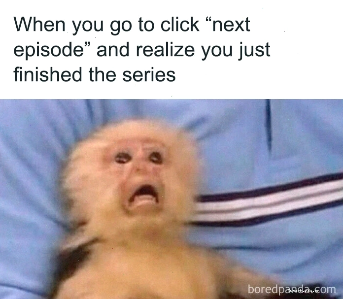 Meme cười ra nước mắt về cuộc sống