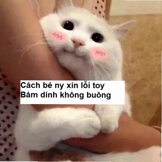 Meme dỗ ny bá đạo