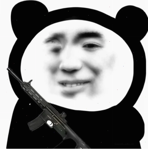 Meme gấu hài hước
