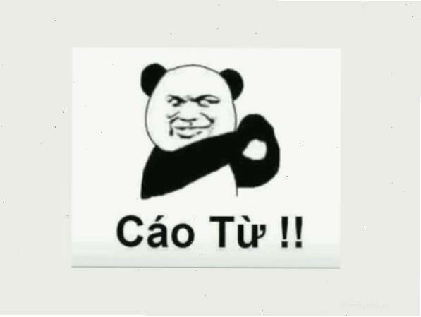Meme gấu trúc biểu cảm đáng yêu lan truyền trên mạng xã hội