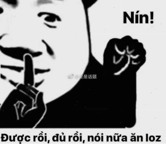 Meme gấu trúc bựa với biểu cảm im lặng khó hiểu