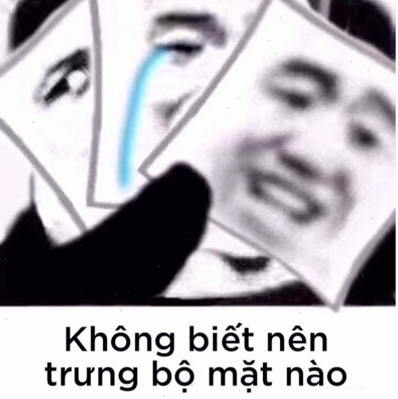 Meme gấu trúc với biểu cảm hài hước