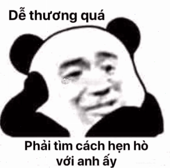 Meme gấu trúc với biểu cảm mê trai