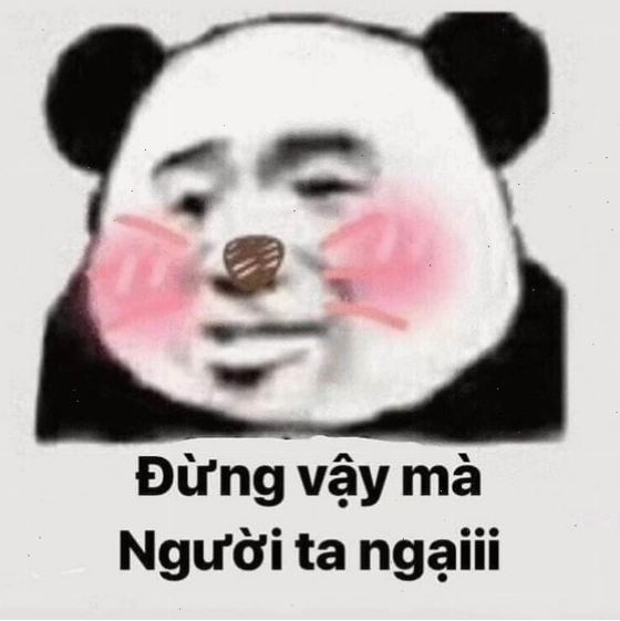 Meme gấu trúc với biểu cảm ngại ngùng đáng yêu