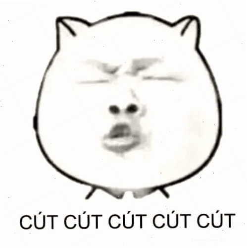 Meme gấu trúc với hành động đuổi theo đầy hài hước