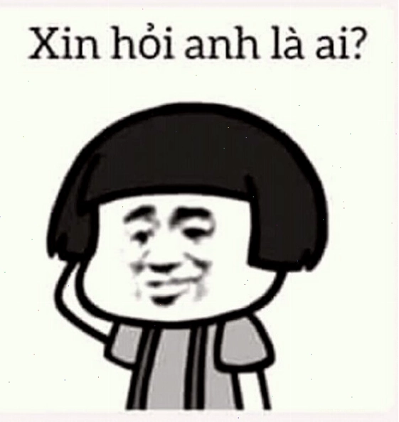 Meme gấu trúc với vẻ mặt ngơ ngác đáng yêu