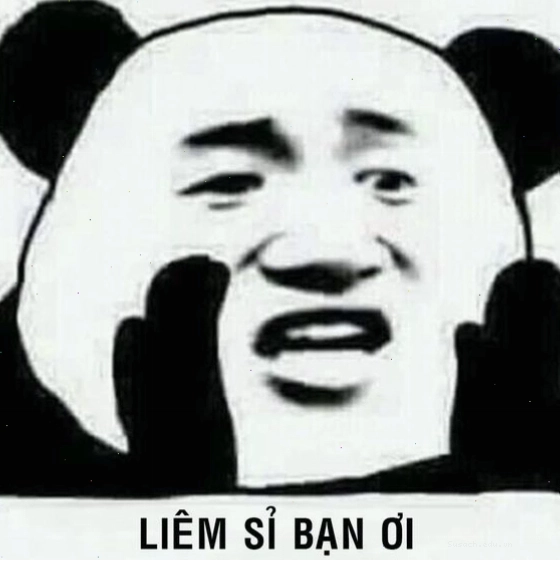 Meme gấu trúc vui nhộn