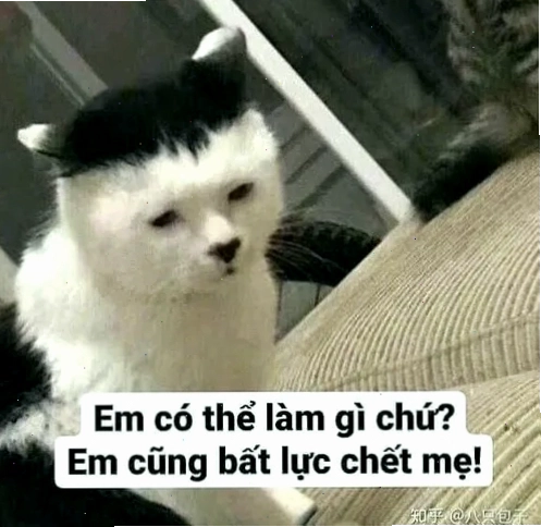 Meme gương mặt thất vọng cực rõ sau chuyện không như ý