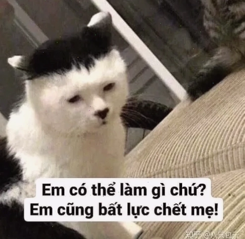 Meme gương mặt thất vọng rõ nét sau một chuyện không như ý