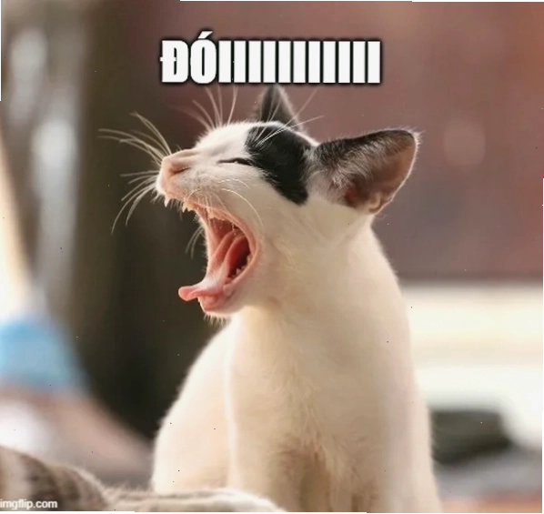Meme há miệng ăn khi meme trở thành bữa ăn
